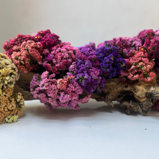 Tronco y Flores de Statis